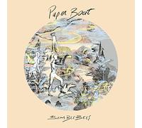 Bumblebees - Paper boat [Vinilo]