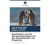 Bumblefoot und die Herausforderungen bei der Rehabilitation von Pinguinen: Ein einschränkender Faktor