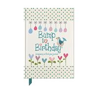 Bump To Birthday: Pregnancy & First Year Journal To Capture Memories Of the Growing Bump, the Birth & the New Baby (Parent & Child)