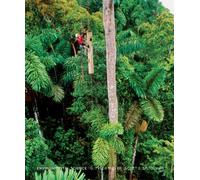 Bundle: Environmental Science, 14th + WebTutor™ on WebCT™ with eBook Printed Access Card