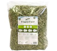 Bunny Timothy 3KG