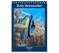 Bunte Meereswelten (Tischkalender 2026 DIN A5 hoch), CALVENDO Monatskalender: Das Leben im tropischen Meer