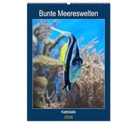 Bunte Meereswelten (Wandkalender 2026 DIN A2 hoch), CALVENDO Monatskalender: Das Leben im tropischen Meer