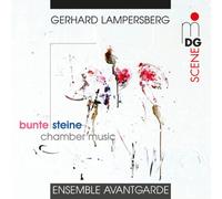 Bunte Steine/Chamber Music