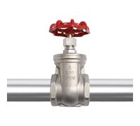 Burcgina Válvula de compuerta de latón NPT de 0.5 a 4 pulgadas con mango de rueda, válvula de globo giratoria roscada hembra de acero inoxidable DN15-DN100 para agua, fontanería industrial, rojo, 2.5