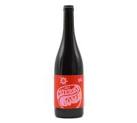 Burgenland Cherry Bomb 2024