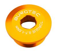 Burgtec Tornillo de manivela para motor Shimano Hollowtech II/E-Bike naranja