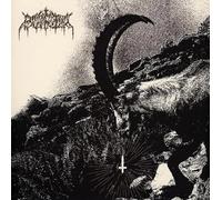 BURIAL - REJOICE IN SIN [Vinilo]