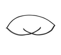 Burlete De Sellado Junta De Goma Para Moldura Superior Del Parabrisas Trasero Del Coche Para E60 Serie 5 525i 530i 528i 2004-2010 51317027916 Burlete Aislante Ventana