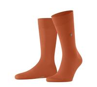 Burlington Lord M So algodón lisos 1 par, Calcetines Hombre, Naranja Pumpkin 8364, 40-46