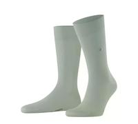 Burlington Lord M So algodón lisos 1 par, Calcetines Hombre, Verde Aqua Gray 7545, 40-46