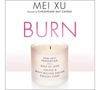Burn: Cómo la determinación, la innovación y un toque de suerte encendieron una historia de éxito multimillonaria