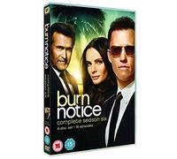 Burn Notice: Season 6 (4 Dvd) [Edizione: Regno Unito] [Italia]