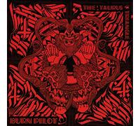 Burn Pilot – The Taurus Triangle