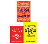 Burn the Haystack, Still Attached, Ghosted Gaslit & Glowing up 3 Books Collection Set
