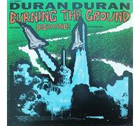 Burning the Ground [Vinilo]