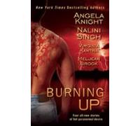 Burning Up (ebook)