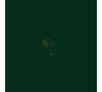 Burning Witch – Towers – Vinilo LP – Importación USA