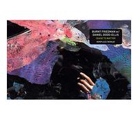 Burnt Friedman & - Cease To Matter [Vinilo]