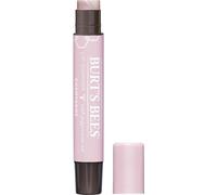 Burt's Bees Bálsamo labial hidratante para mujeres para hidratación durante todo el día con vitamina E y aceite de coco 100% champán natural 0.09