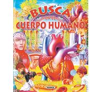 Busca en el cuerpo humano | Adapt. Equipo Susaeta