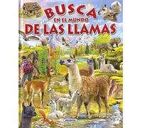 Busca en el mundo de las llamas – Susaeta