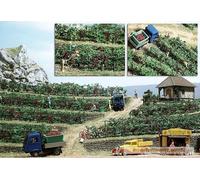 busch 1200 grape wines 1:87