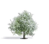 Busch 3651 Manzano 75 Mm, En Flor, H0, Nuevo 2021