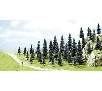 Busch 6592-35 abetos con raíz N/A