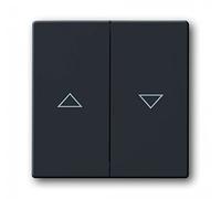 Busch-Jaeger 1785 JA-81 - Interruptor