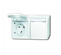 Busch-Jaeger 20/2 EWN-54 - Interruptor