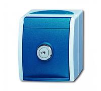 Busch-Jaeger 20 EWSL-101-53 - Interruptor
