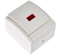 Busch-Jaeger 2601/6 SKW-54 - Interruptor