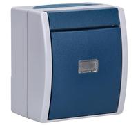 Busch-Jaeger 2601/6 WGL-53 - Interruptor