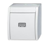 Busch-Jaeger 2601/6 WGL-54 - Interruptor
