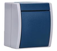 Busch-Jaeger 2621 W-53 BUSC W-53-Pulsador para Cerrajero, Azul, Gris, Siehe Titel/Beschreibung/Details