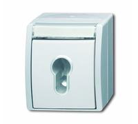 Busch-Jaeger 4820652 - Interruptor