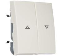 Busch-Jaeger Balancín AWS 2504 - 914 Busch de balance SI protectora/botones Element Para Instalación Interruptor programas 4011395190463