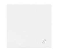 Busch-Jaeger Busch-art - Balancín lineal con símbolo de llave, color blanco | Para interruptor/pulsador, balancín individual, fijación de garras empotradas, protección IP20, 69,5 x 69,5 mm, 2520 TR-44M