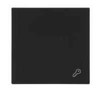 Busch-Jaeger Busch-art - Balancín lineal con símbolo de llave, color negro | Para interruptor/pulsador, balancín individual, fijación de garras empotradas, protección IP20, 69,5 x 69,5 mm, 2520 TR-45M