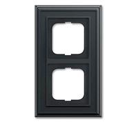 Busch-Jaeger Busch-Dynasty 4011395219317 - Marco para 2 compartimentos (1722-831), color antracita