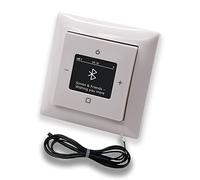 Busch Jäger/Ebrom Busch Jäger 8217U Balance SI - Radio Bluetooth para mejorar el FM Si, color blanco alpino brillante, con unidad de radio 8217 U, cubierta de radio Ebrom