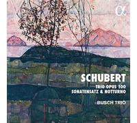 Busch Trio – Trio Opus 100, Sonatensatz y Notturno