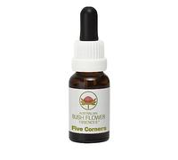 Bush Flower - Five Corners 15 Ml -Esencia Floral