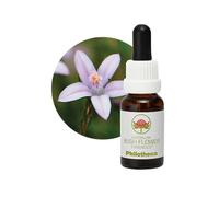 Bush Flower - Philoteca 15 Ml -Esencia Floral
