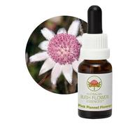 Bush Flower - Pink Flannel Flower 15 Ml -Esencia Floral