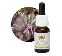 Bush Flower - Pink Mulla Mulla 15 Ml -Esencia Floral