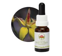 Bush Flower - Yellow Cowslip Orchid 15 Ml -Esencia Floral