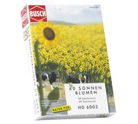 Bush - Girasoles (60 unidades) [importado de Alemania]