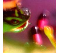 Bush Tetras - Take the Fall [Vinilo]